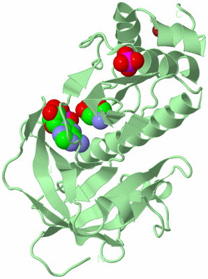 Image Biological Unit 2