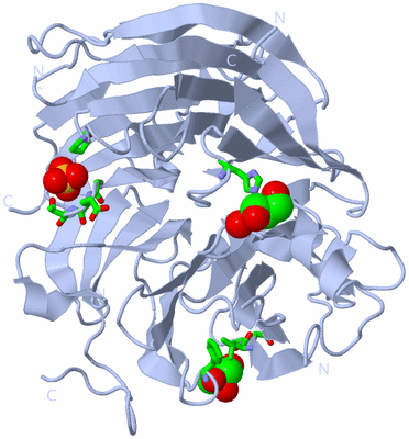 Image Biol. Unit 1 - sites