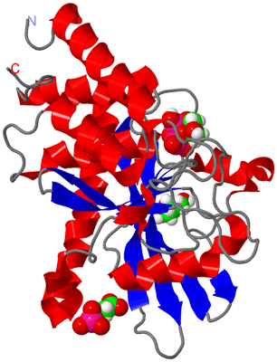 Image Asym./Biol. Unit