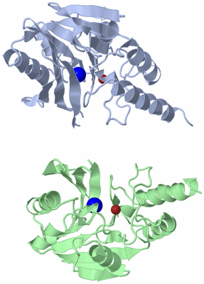 Image Asymmetric Unit