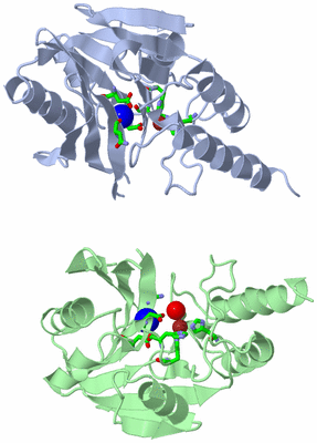 Image Asym. Unit - sites