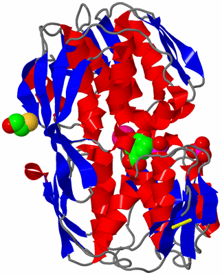 Image Asym./Biol. Unit