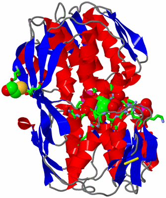 Image Asym./Biol. Unit - sites