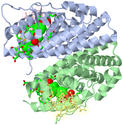 Image Asym./Biol. Unit - sites