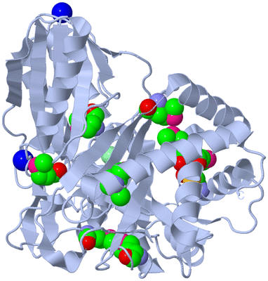 Image Biological Unit 1