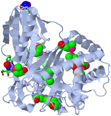 Image Biol. Unit 1 - sites