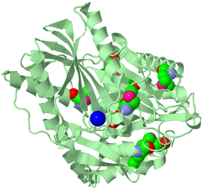 Image Biological Unit 2