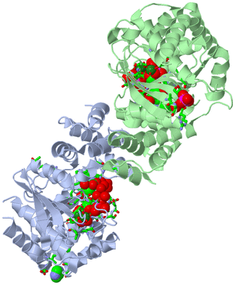 Image Asym./Biol. Unit - sites