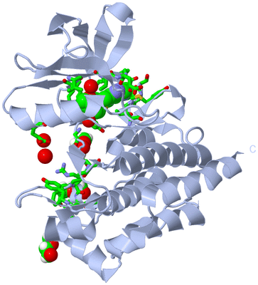 Image Biol. Unit 1 - sites