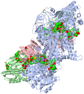 Image Biol. Unit 1 - sites