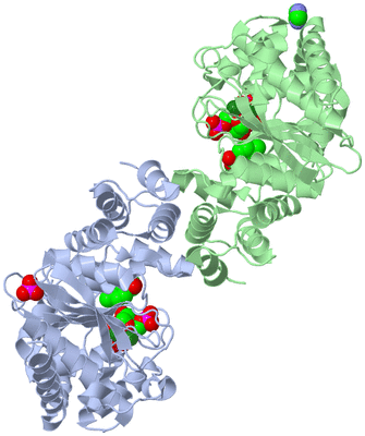 Image Asym./Biol. Unit