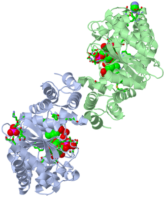 Image Asym./Biol. Unit - sites