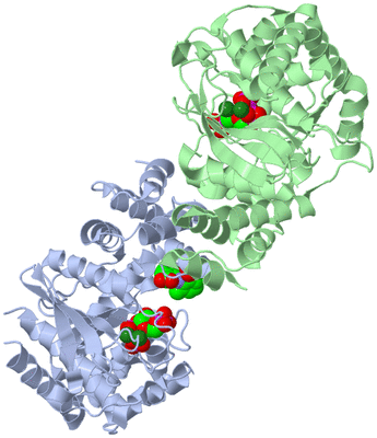 Image Asym./Biol. Unit