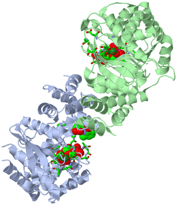 Image Asym./Biol. Unit - sites