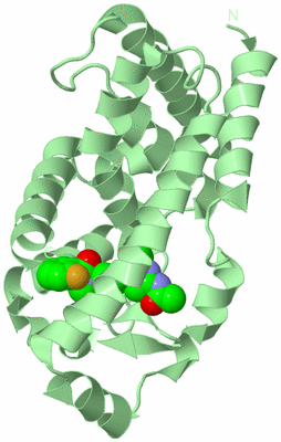 Image Biological Unit 2