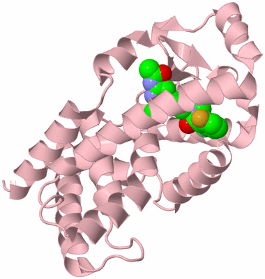 Image Biological Unit 3