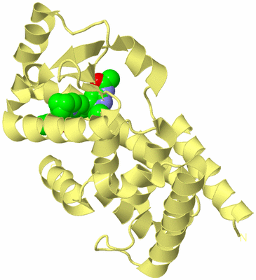 Image Biological Unit 4