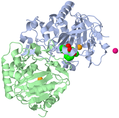 Image Asym./Biol. Unit