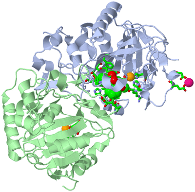 Image Asym./Biol. Unit - sites