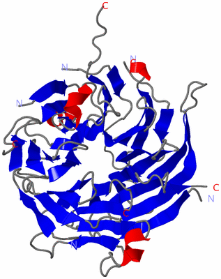 Image Asym./Biol. Unit