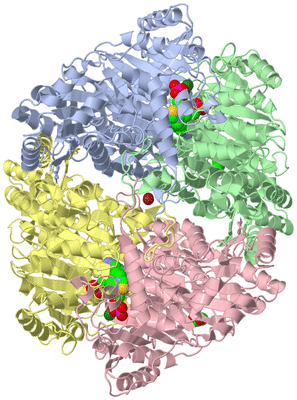 Image Asym./Biol. Unit