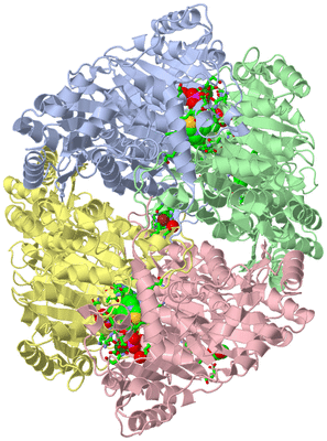 Image Asym./Biol. Unit - sites