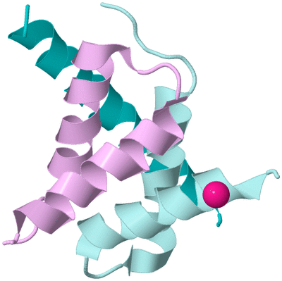 Image Biological Unit 3