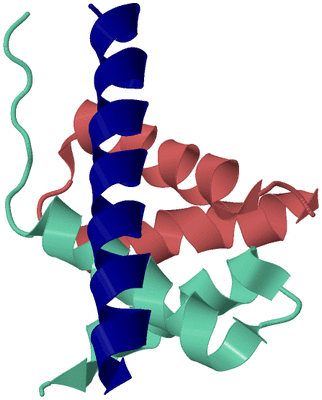 Image Biological Unit 6