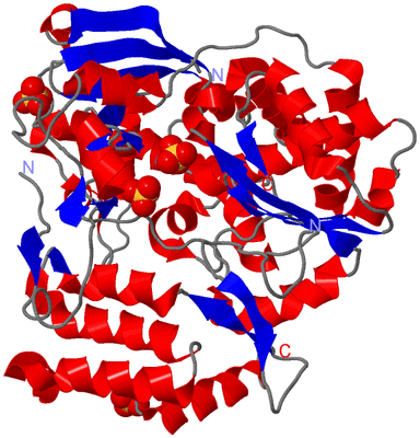 Image Asym./Biol. Unit