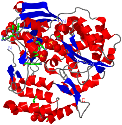 Image Asym./Biol. Unit - sites