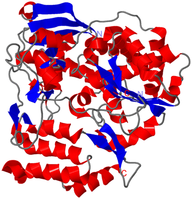 Image Asym./Biol. Unit