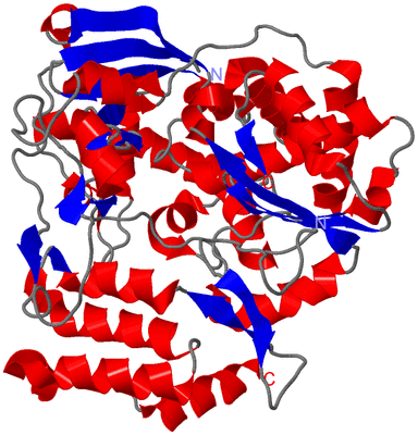 Image Asym./Biol. Unit