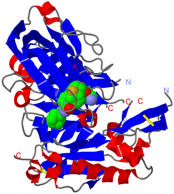 Image Asym./Biol. Unit