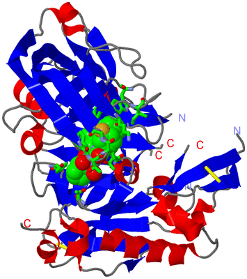 Image Asym./Biol. Unit - sites