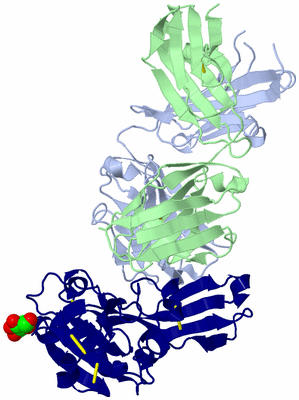 Image Biological Unit 1