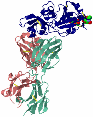 Image Biological Unit 1