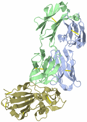 Image Biological Unit 2