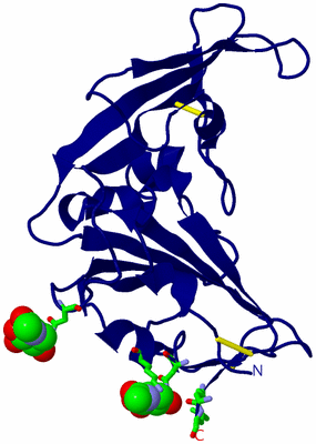 Image Biol. Unit 1 - sites