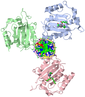 Image Asym./Biol. Unit - sites