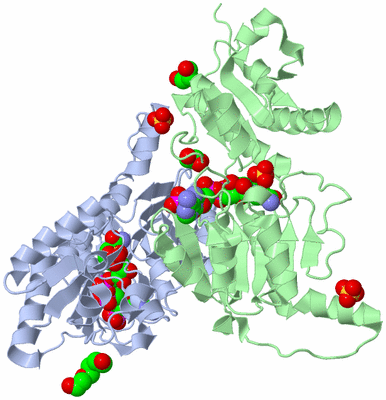 Image Biological Unit 1