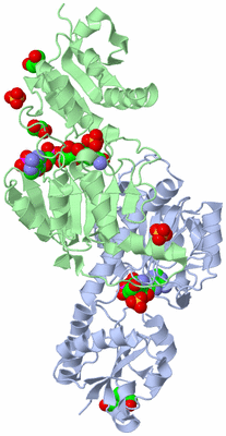 Image Biological Unit 2