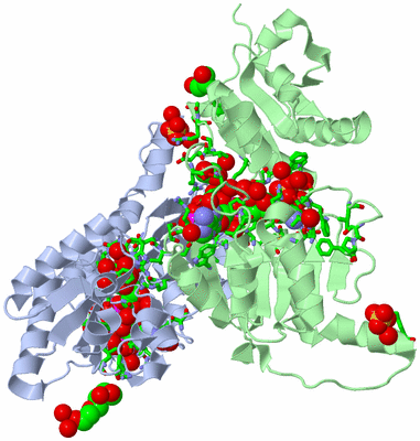 Image Asym. Unit - sites