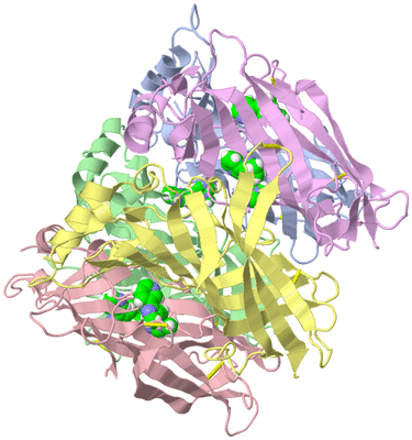 Image Asym./Biol. Unit