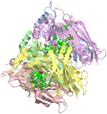 Image Asym./Biol. Unit - sites