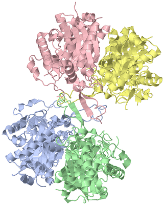 Image Asym./Biol. Unit