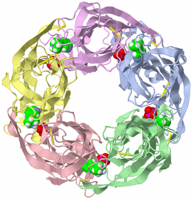 Image Biological Unit 1