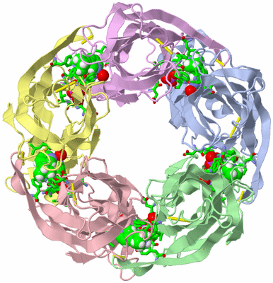 Image Biol. Unit 1 - sites