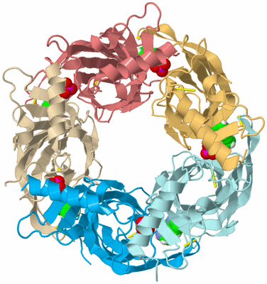 Image Biological Unit 2