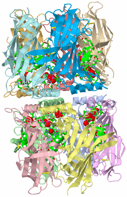 Image Asym. Unit - sites