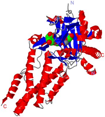 Image Asym./Biol. Unit